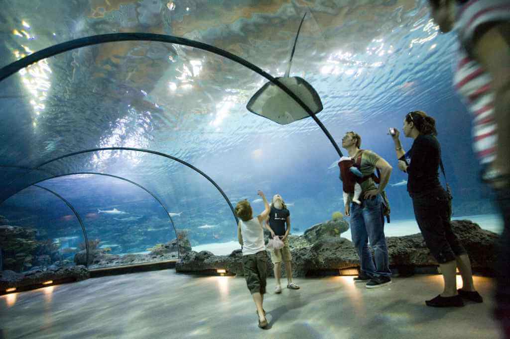 aquarium bezoeken